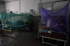 More than 500 dengue cases confirmed in Karnali
